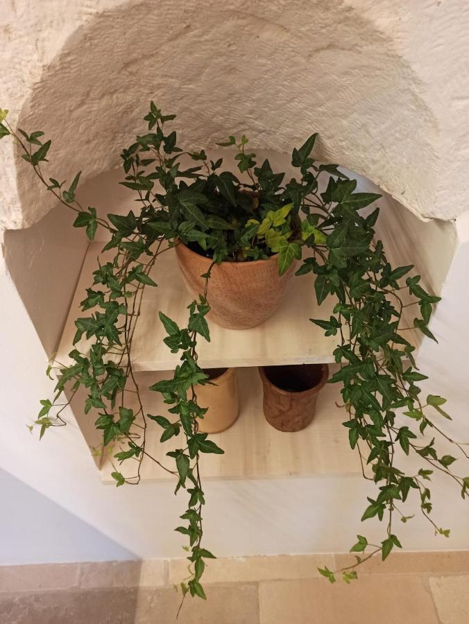Casetta Elilu Ostuni Εξωτερικό φωτογραφία